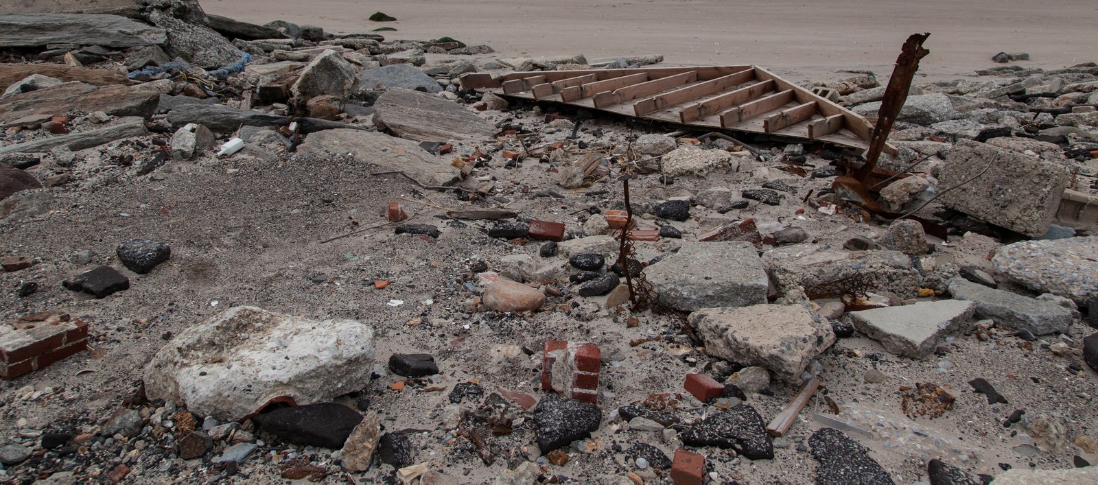 art-of-sandy-mo-crop-seagate 2-31.jpg